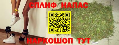 стаф Краснодар