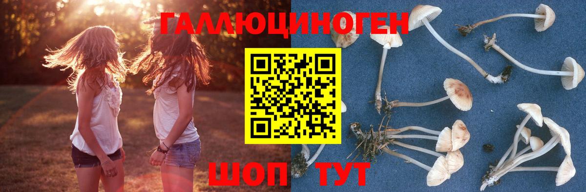 Псилоцибиновые грибы мухоморы Кинель